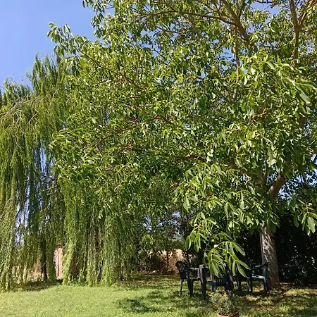 Podere Alberello Affittacamere 3*